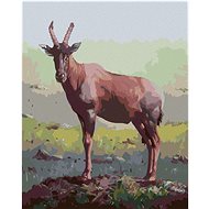Zuty - Painting By Numbers - Antelope In The Grass (D. Rusty Rust), 40X50 Cm, Canvas+Frame - Painting by Numbers