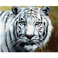 Zuty - Painting By Numbers - White Tiger View Portrait (D. Rusty Rust), 80X100 Cm, Canvas+Frame - Painting by Numbers