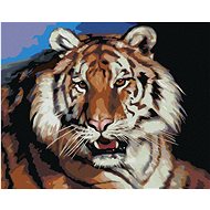 Zuty - Painting by Numbers - Tiger Portrait (D. Rusty Rust), 80X100 Cm, Canvas+Frame - Painting by Numbers