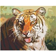 Zuty - Painting by Numbers - Resting Tiger Portrait (D. Rusty Rust), 40X50 Cm, Canvas+Frame - Painting by Numbers