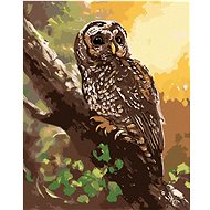 Zuty - Painting by Numbers - Owl on a Tree (D. Rusty Rust), 40X50 Cm, Canvas+Frame - Painting by Numbers