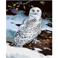 Zuty - Painting By Numbers - Snowy Owl In Winter (D. Rusty Rust), 40X50 Cm, Canvas+Frame - Painting by Numbers