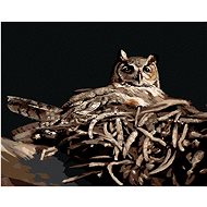 Zuty - Painting By Numbers - Owl In The Nest At Night (D. Rusty Rust), 40X50 Cm, Canvas+Frame - Painting by Numbers