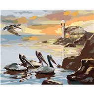 Zuty - Painting By Numbers - Pelican And The Sea (D. Rusty Rust), 40X50 Cm, Canvas+Frame - Painting by Numbers