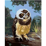 Zuty - Painting by Numbers - Owl Sitting on a Log (D. Rusty Rust), 40X50 Cm, Canvas+Frame - Painting by Numbers