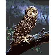 Zuty - Painting by Numbers - Owl on a Log at Night (D. Rusty Rust), 40X50 Cm, Canvas+Frame - Painting by Numbers