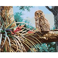 Zuty - Painting by Numbers - Owl in the Forest (D. Rusty Rust), 80X100 Cm, Canvas+Frame - Painting by Numbers