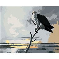 Zuty - Painting By Numbers - Eagle On Branch And Clouds (D. Rusty Rust), 80X100 Cm, Canvas+Frame - Painting by Numbers