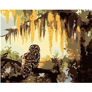 Zuty - Painting by Numbers - Owl and Trees (D. Rusty Rust), 40X50 Cm, Canvas+Frame - Painting by Numbers