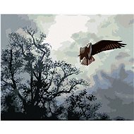 Zuty - Painting By Numbers - Eagle In Flight And Trees (D. Rusty Rust), 40X50 Cm, Canvas+Frame - Painting by Numbers