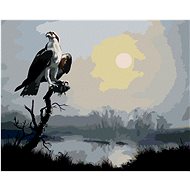 Zuty - Painting By Numbers - Eagle On Branch And Sun (D. Rusty Rust), 40X50 Cm, Canvas+Frame - Painting by Numbers