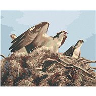 Zuty - Painting By Numbers - Eagle In The Nest (D. Rusty Rust), 40X50 Cm, Canvas+Frame - Painting by Numbers