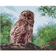 Zuty - Painting by Numbers - Owl and Forest (D. Rusty Rust), 40X50 Cm, Canvas+Frame - Painting by Numbers