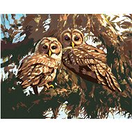 Zuty - Painting by Numbers - Owls on a Tree (D. Rusty Rust), 80X100 Cm, Canvas+Frame - Painting by Numbers