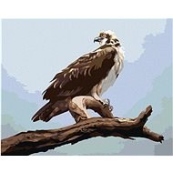 Zuty - Painting By Numbers - Eagle On Branch 2 (D. Rusty Rust), 80X100 Cm, Canvas+Frame - Painting by Numbers