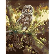 Zuty - Painting by Numbers - Owl on a Tree (D. Rusty Rust), 40X50 Cm, Canvas+Frame - Painting by Numbers