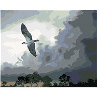 Zuty - Painting By Numbers - Eagle In Flight And Storm Clouds (D. Rusty Rust), 80X100 Cm, Canvas+Fra - Painting by Numbers