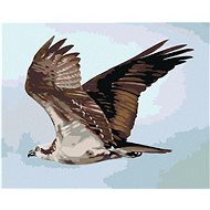 Zuty - Painting By Numbers - Eagle In Flight (D. Rusty Rust), 40X50 Cm, Canvas+Frame - Painting by Numbers