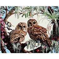Zuty - Painting By Numbers - Owls And Hearts Of Branches (D. Rusty Rust), 40X50 Cm, Canvas+Frame - Painting by Numbers