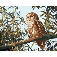 Zuty - Painting By Numbers - Owl On Branch And Leaves (D. Rusty Rust), 80X100 Cm, Canvas+Frame - Painting by Numbers