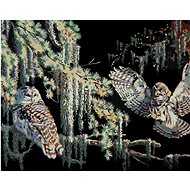 Zuty - Painting by Numbers - Owls in the Night (D. Rusty Rust), 80X100 Cm, Canvas+Frame - Painting by Numbers