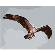 Zuty - Painting By Numbers - Eagle In Flight With Prey (D. Rusty Rust), 40X50 Cm, Canvas+Frame - Painting by Numbers