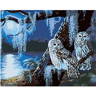 Zuty - Painting by Numbers - Snowy Owl on a Full Moon Night (D. Rusty Rust), 80X100 Cm, Canvas+Frame - Painting by Numbers
