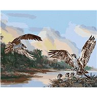 Zuty - Painting by Numbers - Eagle And Nest With Chicks (D. Rusty Rust), 40X50 Cm, Canvas+Frame - Painting by Numbers