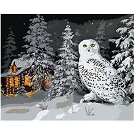 Zuty - Painting by Numbers - Snowy Owl in the Forest and Cottage in Winter (D. Rusty Rust), 40X50 Cm - Painting by Numbers