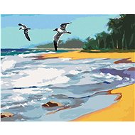 Zuty - Painting by Numbers - Birds Flying Over the Beach (D. Rusty Rust), 40X50 Cm, Canvas+Frame - Painting by Numbers