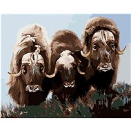Zuty - Painting by Numbers - Bison (D. Rusty Rust), 40X50 Cm, Canvas+Frame - Painting by Numbers