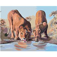 Zuty - Painting By Numbers - Young Lion And Lioness At Napajedla (D. Rusty Rust), 40X50 Cm, Canvas+F - Painting by Numbers