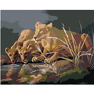 Zuty - Painting By Numbers - Lioness At Napajedla In The Dark (D. Rusty Rust), 40X50 Cm, Canvas+Fram - Painting by Numbers