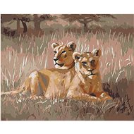 Zuty - Painting by Numbers - Resting Lion (D. Rusty Rust), 40X50 Cm, Canvas+Frame - Painting by Numbers
