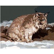 Zuty - Painting By Numbers - Lynx In Winter (D. Rusty Rust), 40X50 Cm, Canvas+Frame - Painting by Numbers