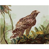 Zuty - Painting By Numbers - Hawk On A Branch (D. Rusty Rust), 40X50 Cm, Canvas+Frame - Painting by Numbers