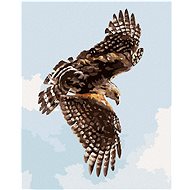 Zuty - Painting by Numbers - Hawk (D. Rusty Rust), 40X50 Cm, Canvas+Frame - Painting by Numbers
