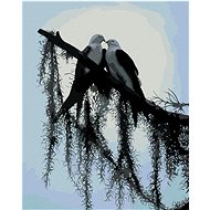 Zuty - Painting By Numbers - Birds On Branch (D. Rusty Rust), 40X50 Cm, Canvas+Frame - Painting by Numbers