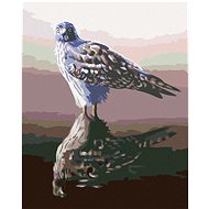 Zuty - Painting by Numbers - Hawk in Reflection (D. Rusty Rust), 40X50 Cm, Canvas+Frame - Painting by Numbers