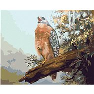 Zuty - Painting by Numbers - Birds of Prey on a Branch (D. Rusty Rust), 40X50 Cm, Canvas+Frame - Painting by Numbers