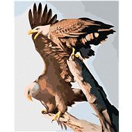 Zuty - Painting by Numbers - Eagle Couple (D. Rusty Rust), 40X50 Cm, Canvas+Frame - Painting by Numbers