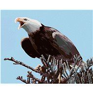 Zuty - Painting by Numbers - Eagle on a Twig (D. Rusty Rust), 40X50 Cm, Canvas+Frame - Painting by Numbers