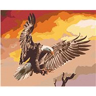Zuty - Painting By Numbers - Flying Eagle On Red Background (D. Rusty Rust), 40X50 Cm, Canvas+Frame - Painting by Numbers