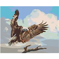 Zuty - Painting by Numbers - Flying Eagle (D. Rusty Rust), 40X50 Cm, Canvas+Frame - Painting by Numbers