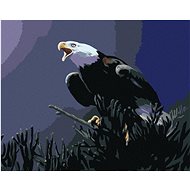 Zuty - Painting By Numbers - Eagle On Dark Background (D. Rusty Rust), 40X50 Cm, Canvas - Painting by Numbers