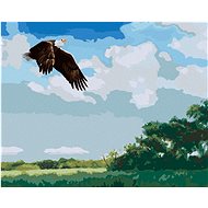 Zuty - Painting by Numbers - Flying Eagle (D. Rusty Rust), 40X50 Cm, Canvas+Frame - Painting by Numbers