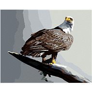 Zuty - Painting By Numbers - Eagle On Grey Background (D. Rusty Rust), 40X50 Cm, Canvas+Frame - Painting by Numbers