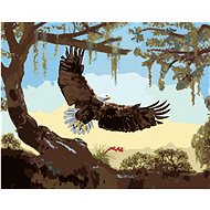 Zuty - Painting by Numbers - Eagle Taking Off (D. Rusty Rust), 40X50 Cm, Canvas+Frame - Painting by Numbers