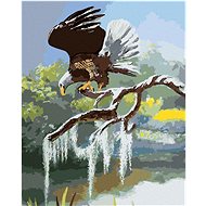 Zuty - Painting By Numbers - Eagle On Branch By Water (D. Rusty Rust), 40X50 Cm, Canvas+Frame - Painting by Numbers