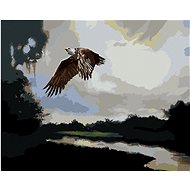Zuty - Painting by Numbers - Eagle at Dusk (D. Rusty Rust), 80X100 Cm, Canvas+Frame - Painting by Numbers